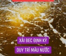 ⭐⭐⭐NƯỚC CHUYỂN NÂU TRÀ XÀI BEC 500