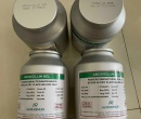 ⭐⭐⭐AMOXICILLIN Trihydrate
