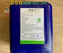 ⭐⭐⭐MEN EM GỐC (EM1)