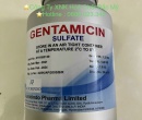 ⭐⭐⭐GENTAMICIN
