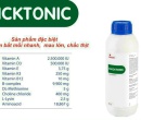 ⭐⭐⭐CHICKTONIC⭐️