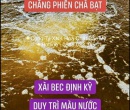 ⭐⭐⭐NƯỚC CHUYỂN NÂU TRÀ BEC 502⚡️