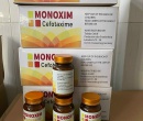 ⭐⭐⭐MONOXIM