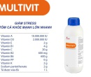 ⭐️⭐️⭐️⭐️MULTIVIT