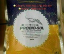 ⭐SOMA PROBIO SOL 
