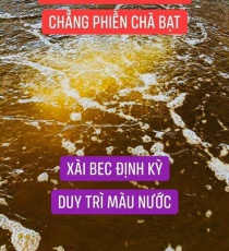⭐⭐⭐NƯỚC CHUYỂN NÂU TRÀ XÀI BEC 500
