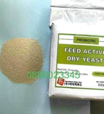 ⭐⭐⭐MEN TIÊU HOÁ ACTIVE
