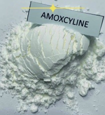 ⭐⭐⭐AMOXICILLIN Trihydrate