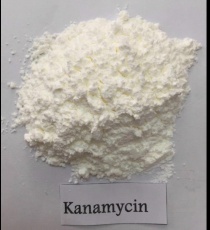 ⭐⭐⭐KANAMYCIN⚡️