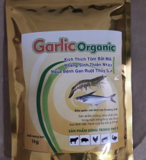 ⭐⭐⭐SINH TỐ TỎI TỰ NHIÊN GARLIC OGANIC