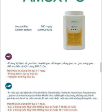 ⭐⭐⭐ AMOXY- C TRỊ BỆNH EMS, XƯNG GAN NHŨN GAN TÔM