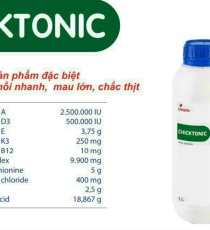 ⭐⭐⭐CHICKTONIC⭐️