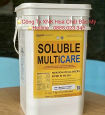 ⭐⭐⭐MULTICARE