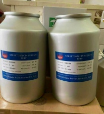 ⭐⭐⭐STREPTOMYCIN
