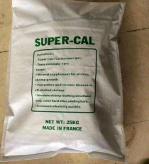 ⭐⭐⭐SUPER CALL