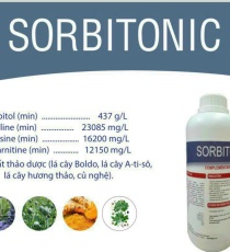 ⭐⭐⭐SORBITONIC