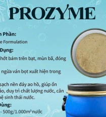 ⭐⭐⭐PROZYME TẨY NHỚT BẠT 