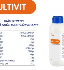 ⭐️⭐️⭐️⭐️MULTIVIT
