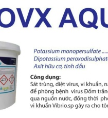 ⭐⭐⭐⭐BIOVX AQUA