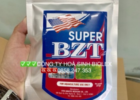 Thủy sản Hà Tĩnh nói gì về hiện tượng cá nuôi lồng bè chết hàng loạt?