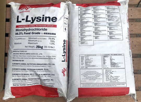 ⭐⭐⭐LYSINE⚡️