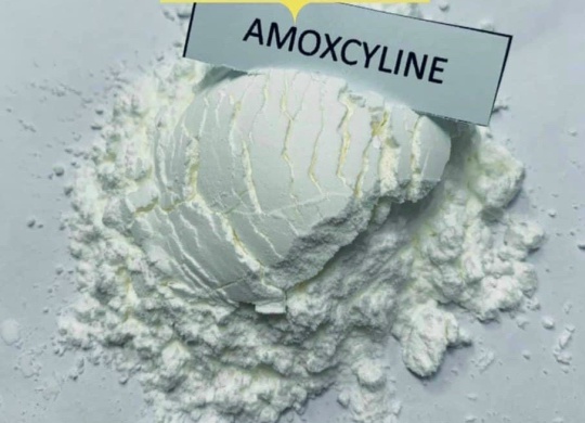 ⭐⭐⭐AMOXICILLIN Trihydrate