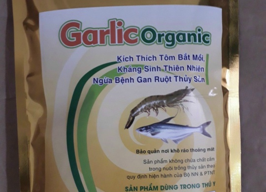 ⭐⭐⭐SINH TỐ TỎI TỰ NHIÊN GARLIC OGANIC