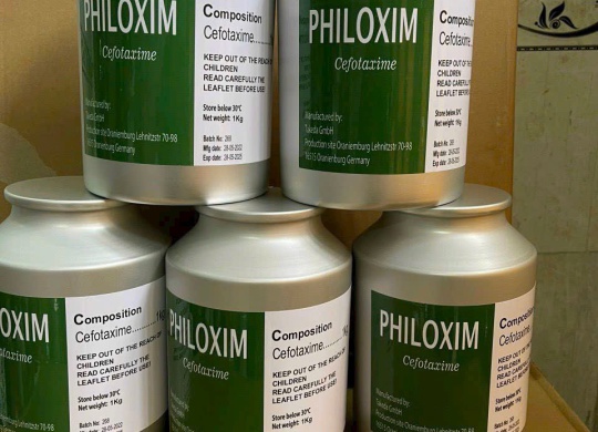 ⭐⭐ Philoxim⭐⭐