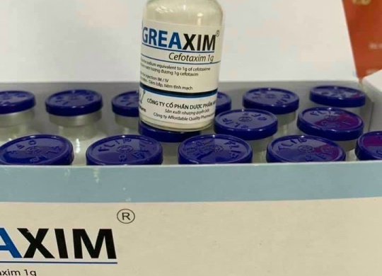 ⭐⭐⭐GRESXIM⭐⭐