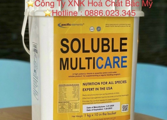 ⭐⭐⭐MULTICARE