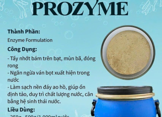 ⭐⭐⭐PROZYME TẨY NHỚT BẠT 