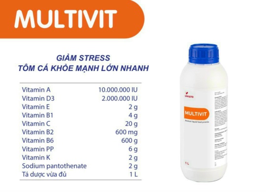 ⭐️⭐️⭐️⭐️MULTIVIT