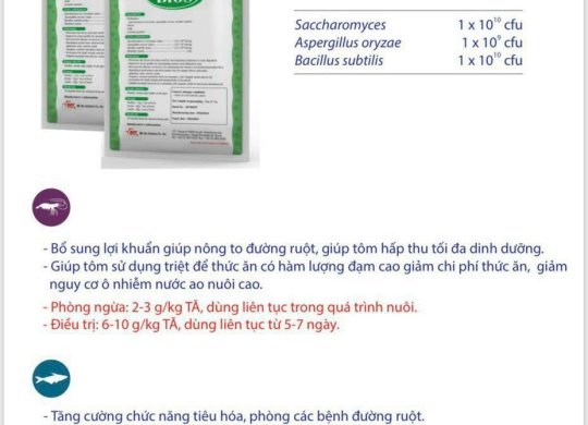 ⭐️⭐️⭐️Men tiêu hoá thế hệ mới bio s