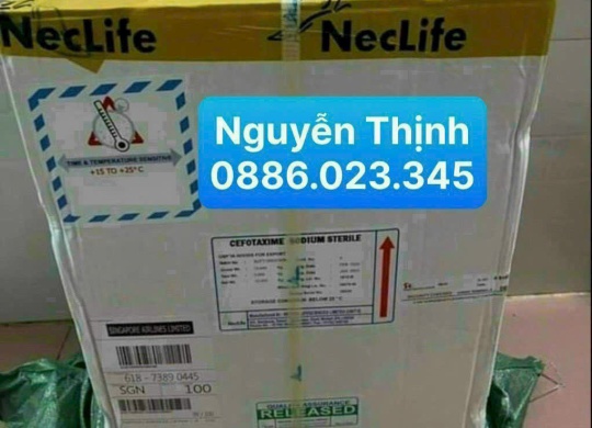⭐️⭐️⭐️CEFOTAXIME NECLIFE 