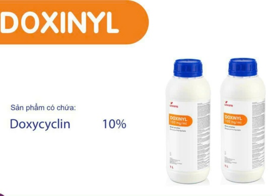 ⭐⭐⭐⭐⭐DOXINYL 10%⭐