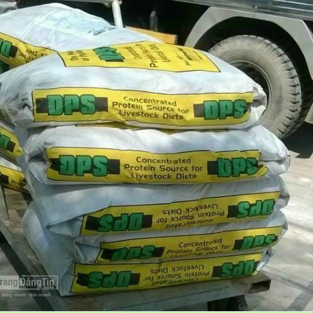 ⭐⭐⭐ĐẠM TĂNG TRỌNG DPS