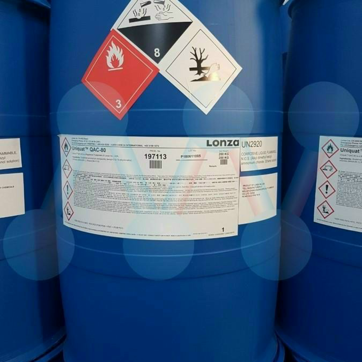 ⭐️⭐️⭐️BKC 80%