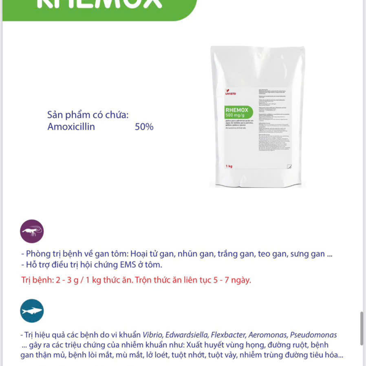 ⭐⭐⭐⭐RHEMOX⭐⭐⭐