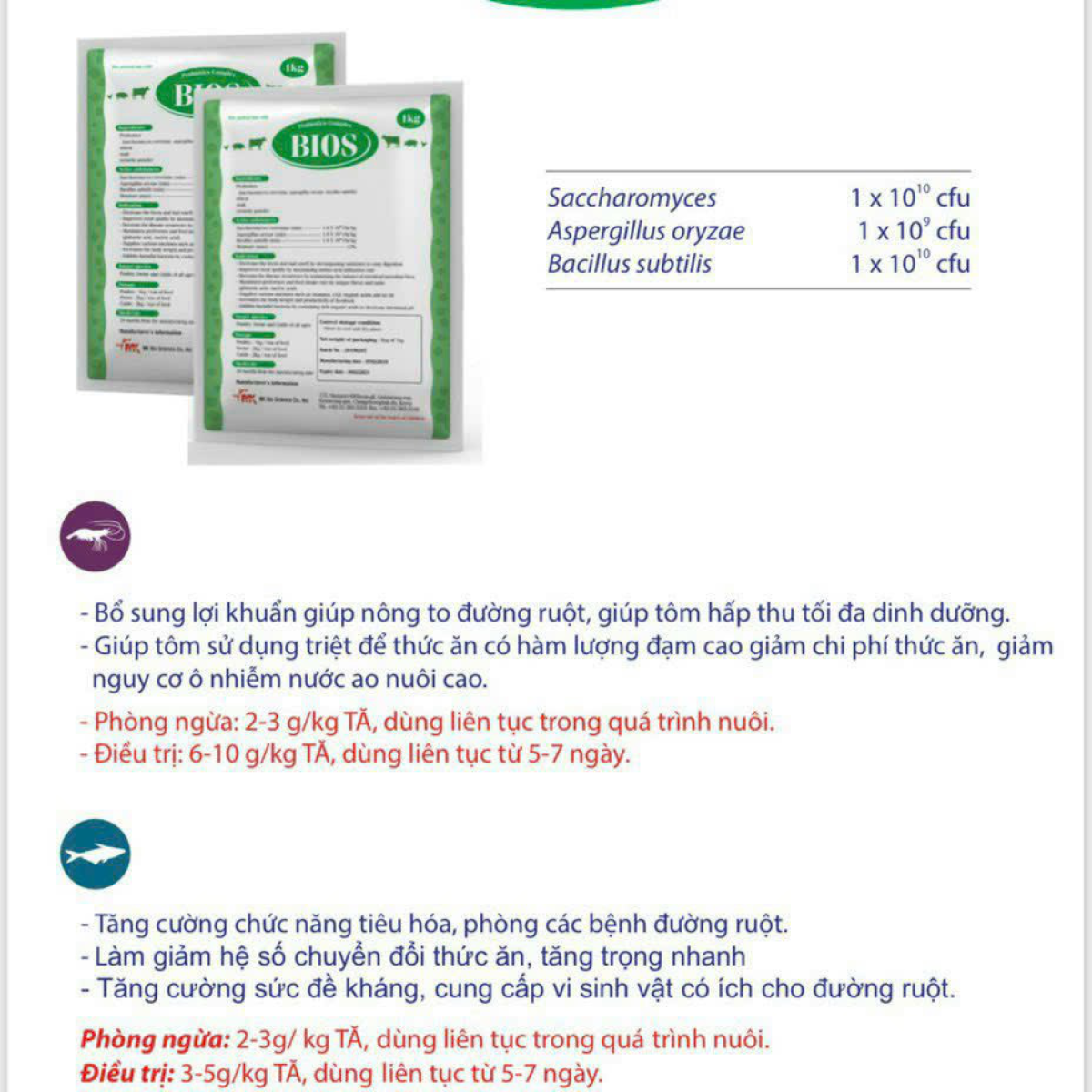 ⭐️⭐️⭐️Men tiêu hoá thế hệ mới bio s