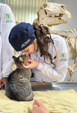 CÔNG TY THÚ Y PHƯƠNG NAM