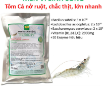 MEN TIÊU HÓA CHO TÔM CÁ – GIÚP ĂN MẠNH, LỚN NHANH