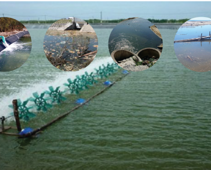 PHƯƠNG PHÁP GIỮ NƯỚC AO LUÔN TRONG – ỔN ĐỊNH pH CHO CÁ/TÔM