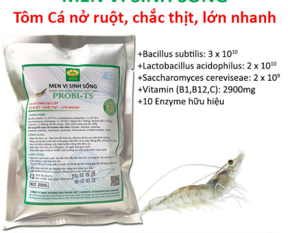MEN TIÊU HÓA CHO TÔM CÁ – GIÚP ĂN MẠNH, LỚN NHANH