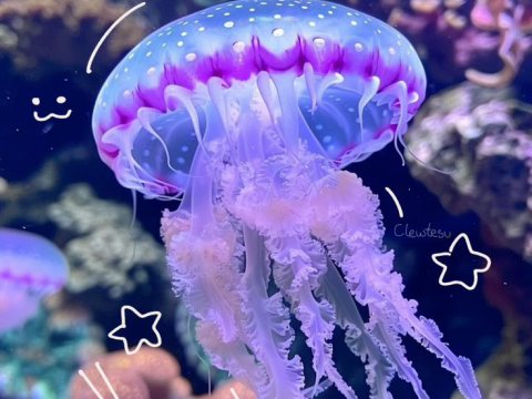 CÔNG TY THÚ Y PHƯƠNG NAM