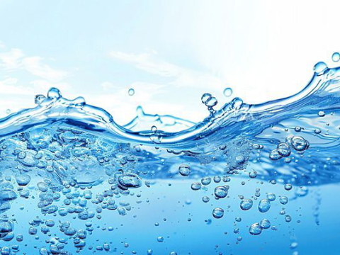 CÔNG TY THÚ Y PHƯƠNG NAM