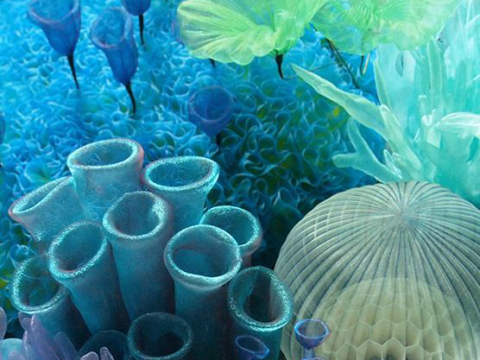 CÔNG TY THÚ Y PHƯƠNG NAM