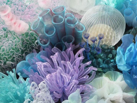 CÔNG TY THÚ Y PHƯƠNG NAM