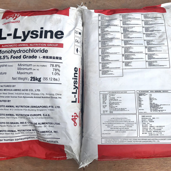 ⭐⭐⭐LYSINE⚡️