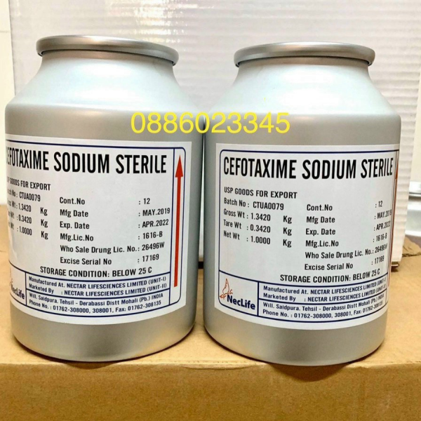 ⭐⭐cefotaxime⭐⭐
