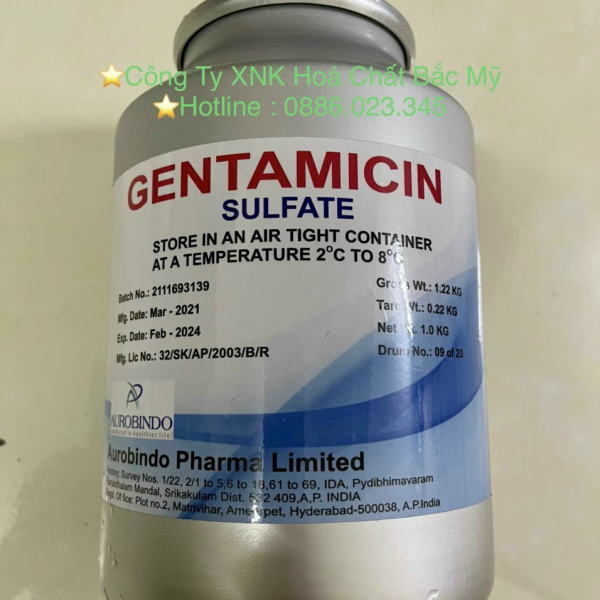 ⭐⭐⭐GENTAMICIN